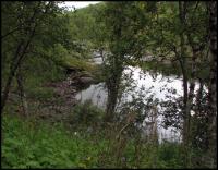 Bifogad bild: norge2010augusti767.jpg